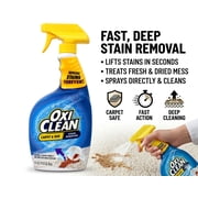 OxiClean Carpet and Area Rug Stain Remover Spray, 24 oz (2 Count)
