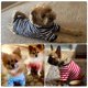 thumbnail image 2 of Camiseta para perros Geyoga a rayas de algodón transpirable para perros pequeños, 2 of 6