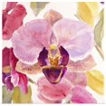 thumbnail image 1 of Great BIG Canvas | Rolled Lanie Loreth Poster Print entitled Radiant Orchid II, 1 of 4