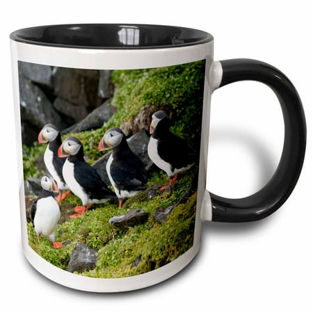 Atlantic Puffins Perch - 3dRose Norway, Svalbard, Spitsbergen. Atlantic puffins perched on a cliff. - Two Tone Black Mug, 11-ounce