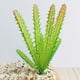 thumbnail image 2 of Cactus suculento artificial, Cactus artificial, Planta suculenta de plástico, Suculenta plástica, Planta verde, Flor artificial, Planta artificial, Cactus miniatura, Cactus plástico, 2 of 7