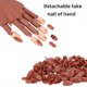 thumbnail image 2 of Mano de práctica para uñas acrílicas, UBIUO Mano de práctica para uñas con 200 uñas - Manos postizas flexibles y móviles para manicura de uñas - Resistentes y resistentes, 2 of 5