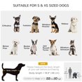thumbnail image 4 of PawHut 2 in 1 Dog Stroller with Detachable Carriage Bag for S Dogs, Blue, 4 of 10