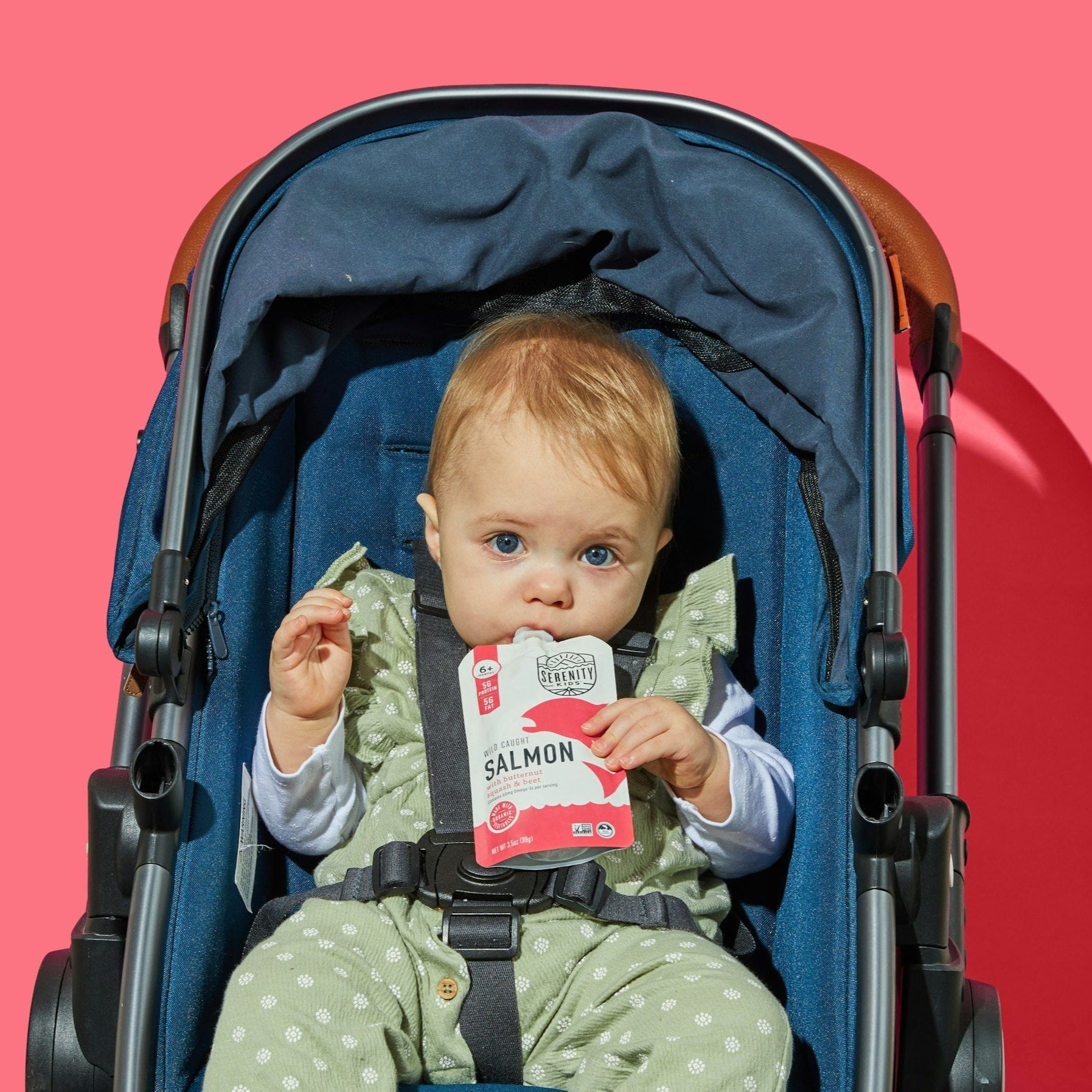 Serenity Kids Wild Caught Salmon Stage 2 Baby Food, Organic Butternut Squash & Beet, 3.5 oz Pouches (6 pack)