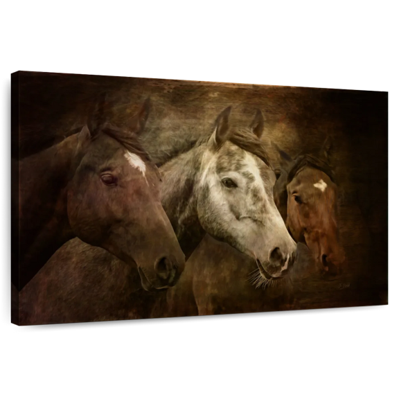 Elephant Stock Three Horses Wall Art - Horizontal Canvas Wall Art - Living Room Wall Decor - Animal Canvas - Brown And Green Decor By Jo Walsh - 12" x 8"