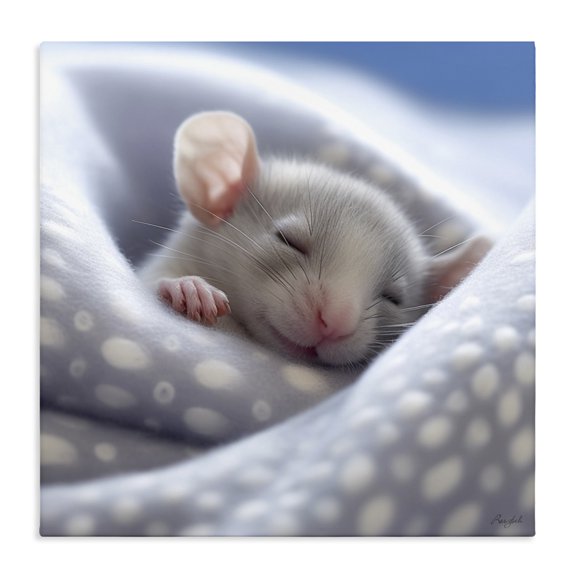 Stupell Industries Eclectic Soft Sleeping Mouse Canvas Art, 24 x 24, by Roozbeh