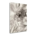 thumbnail image 2 of Tangletown Fine Art Florison - 5 By Alan Blaustein,  Gallery Wrap Canvas, 2 of 2