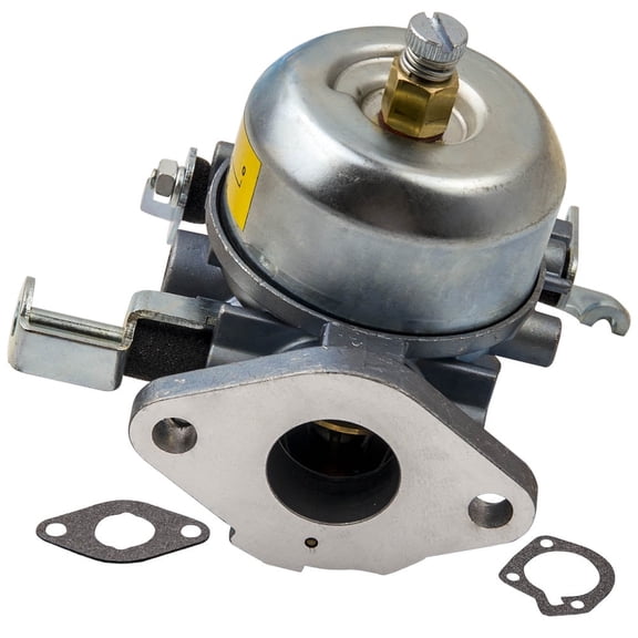 Maxpeedingrods Carburetor for Onan Cummins RV Generator BGE BGD 146-0455 146-0466