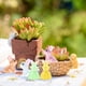 thumbnail image 4 of Autumn Clearance 20 Pieces Of Packaging Resin Animals, Animal Figurines Suitable For Miniature Doll House Decoration Accessories Garden Aquarium Pot Decoration Party Toys, 4 of 5