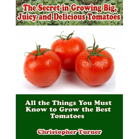 The Secret In Growing Big, Juicy and Delicious Tomatoes: All the Things You Must Know to Grow the Best Tomatoes - (Best Tomatoes To Grow For Canning)