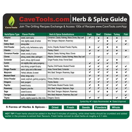 Spice Rack & Herb Organizer Set Magnet - Kitchen Cooking Guide Conversion Chart with Grilling Rubs & BBQ Seasoning Substitutions - Measuring Spoon Barbecue Accessories Gift Idea by Cave