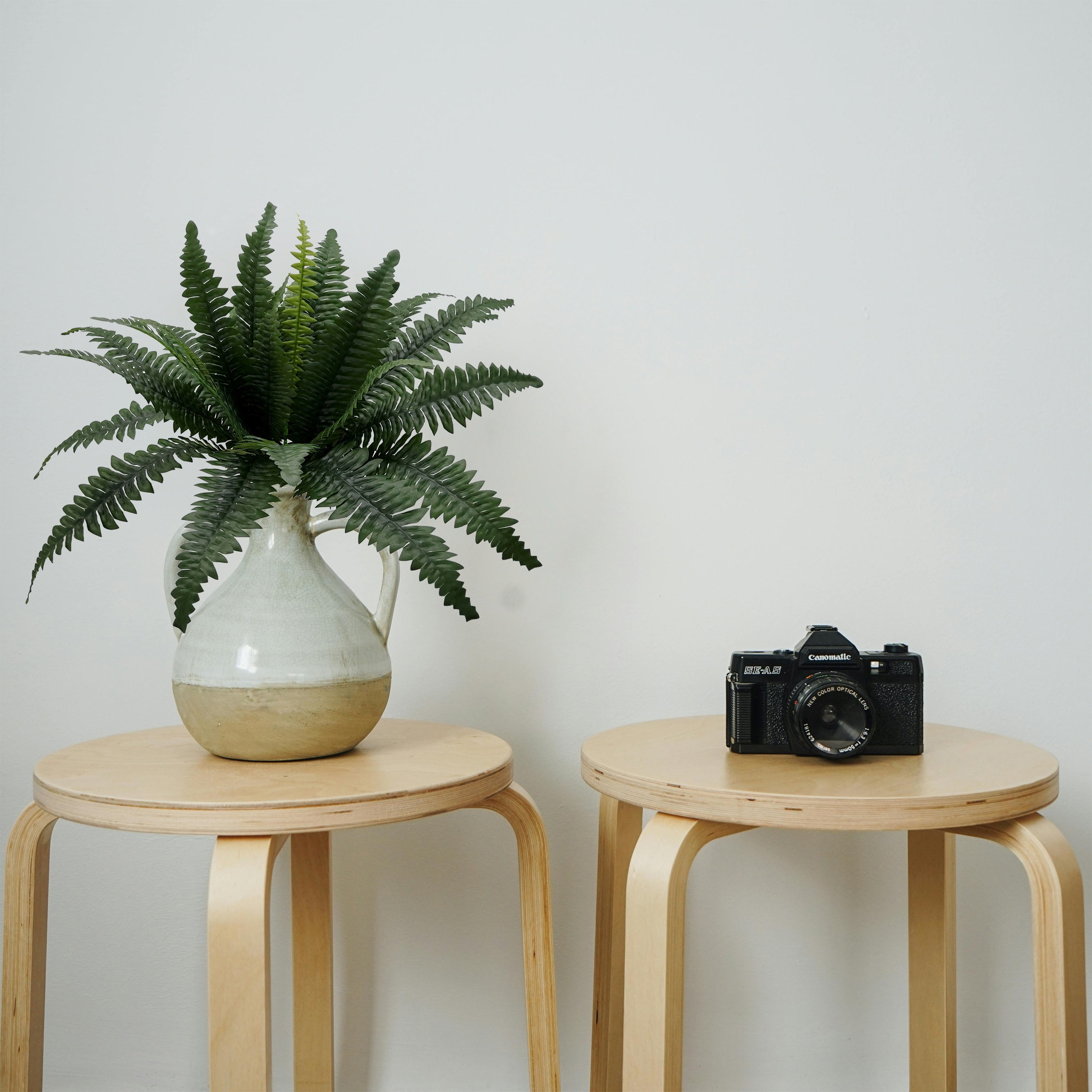 Mainstays 21in Indoor Artificial Plant, Fern Bush, Green Color. Indoor Use. Not in Pot.