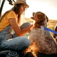 thumbnail image 2 of Pet Car Harness Retractable Leash for Dog Leash for Dog Car Harness, 2 of 4