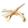 thumbnail image 2 of Best Buy Bones USA Naturally Shed Antlers in Header Card, 2 of 2