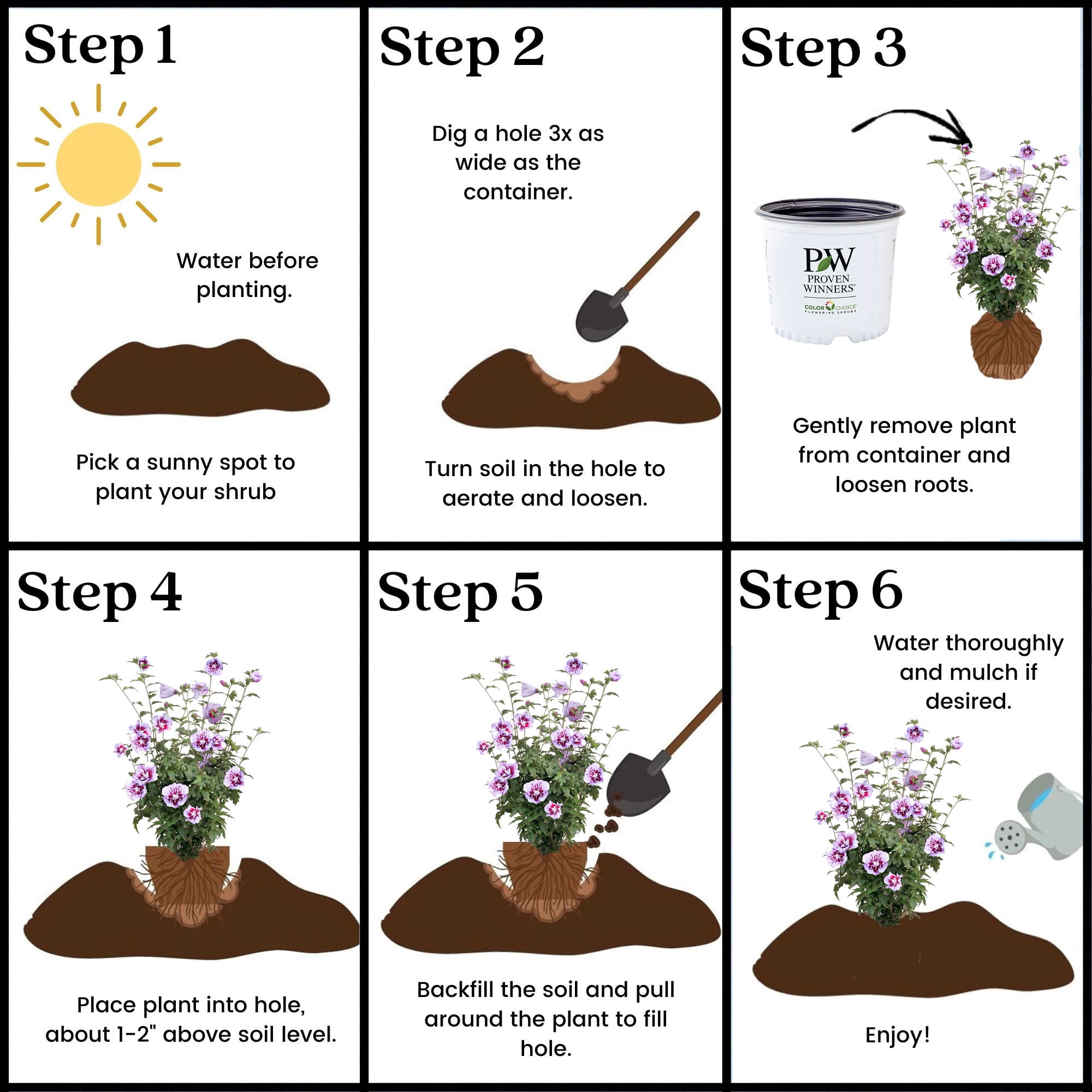 Proven Winners ColorChoice Purple Pillar Hibiscus Live Shrub (5 Gallon)
