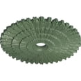thumbnail image 3 of Ekena Millwork 24 3/4"OD x 3 1/4"ID x 1 7/8"P Eryn Ceiling Medallion (Fits Canopies up to 4"), Hand-Painted Athenian Green, 3 of 6