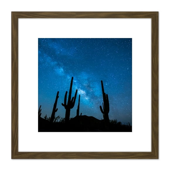 BLM Night Sky Sonoran Desert Arizona Cactus Silhouettes 8X8 Inch Square Wooden Framed Wall Art Print Picture with Mount