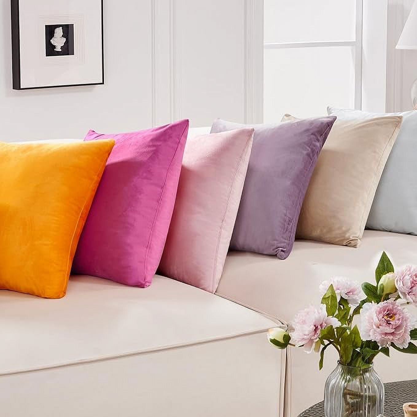 Cterwk 2 Pack Velvet Square Throw Pillow Cover with Zipper, Super Soft Luxury Decorative Cushion Cover for Sofa, Couch, Bedroom, 20 x 20inch