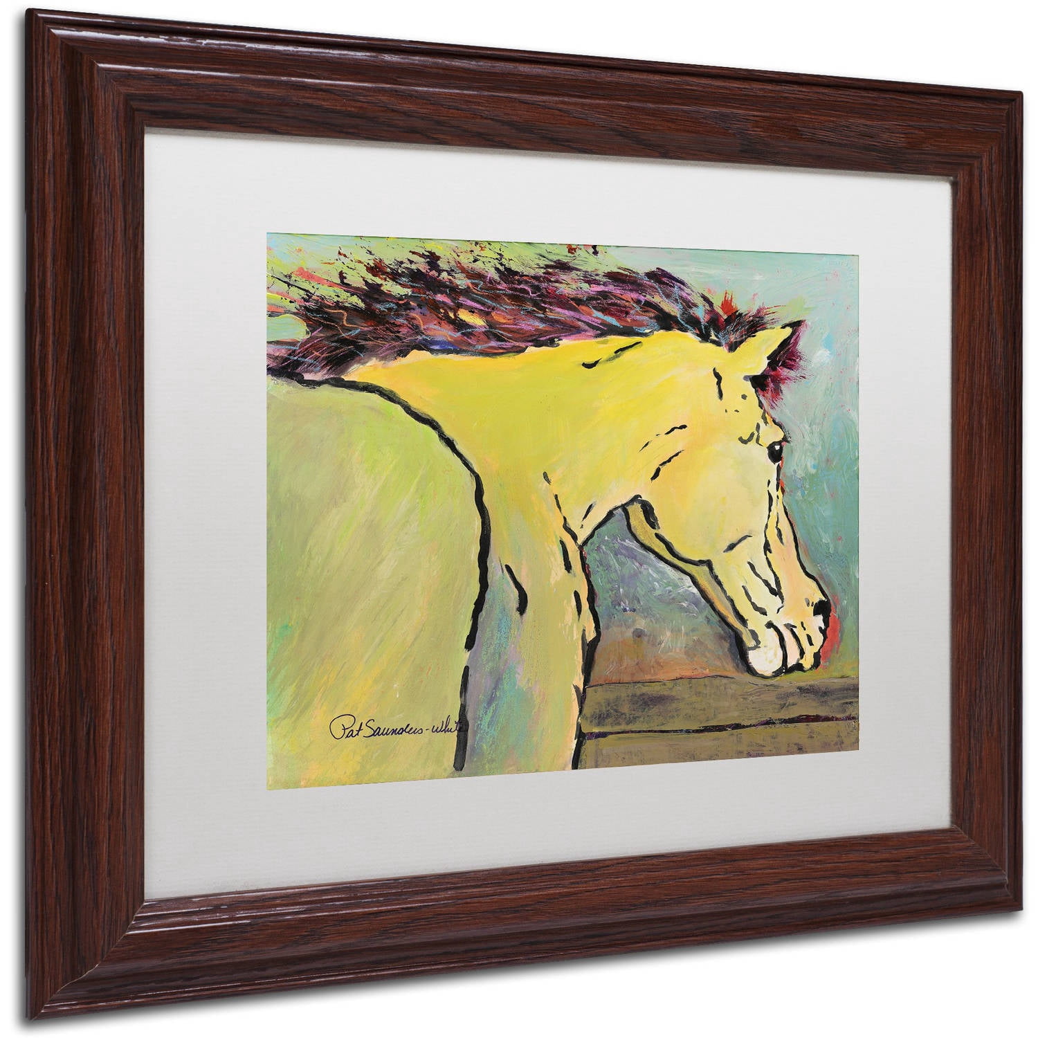 Trademark Fine Art "Waiting for Sunrise" Canvas Art by Pat Saunders-White, White Matte, Wood Frame