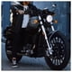 thumbnail image 4 of Motocicleta Iron Clan tipo Custom Daytona Sport 400cc de Inyección 2026, 4 of 6