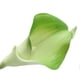 thumbnail image 3 of 10pcs Elegant Lifelike Real Touch Artificial PU Calla Lily Flower Bouquets Bridal Wedding Flower Bouquets (Green), 3 of 3