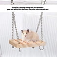 thumbnail image 2 of Pet Toy - Hammock Cage Exercise Molar Toy, 2 of 5