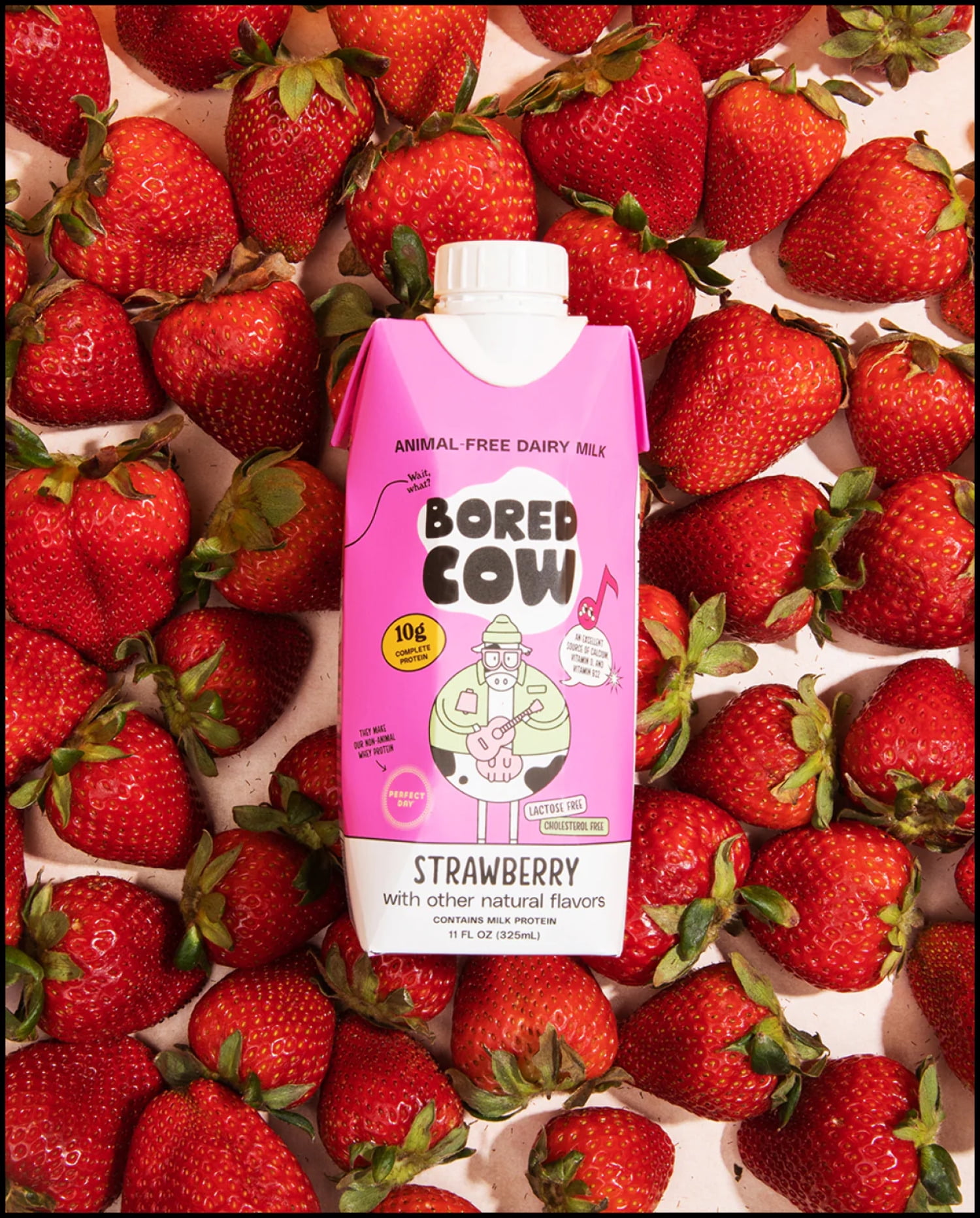 Smooth Strawberry 24-pack (11 oz)
