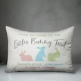 thumbnail image 3 of Creative Products Colorful Easter Bunny Trail 14x20 Spun Poly Pillow, 3 of 3