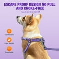 thumbnail image 6 of PcEoTllar Dog Harness and Leash Set, No Pull Soft Mesh Pet Harness, Reflective Adjustable Puppy Vest for Small Medium Dogs, Cats, Purple, M, 6 of 10