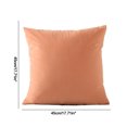 thumbnail image 3 of Amacok Neutral Decorative Pillow 18X18 Inch Velvet Throw Pillow for Bed Couch Sofa Living Room, Soft Solid Square Cushion Pillow for Couch Bed, with Insert, Set of 2, 3 of 6