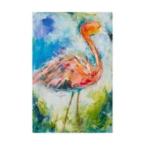 Trademark Fine Art 'Pretty in Pink No. 2' Canvas Art by Hilma Koelma