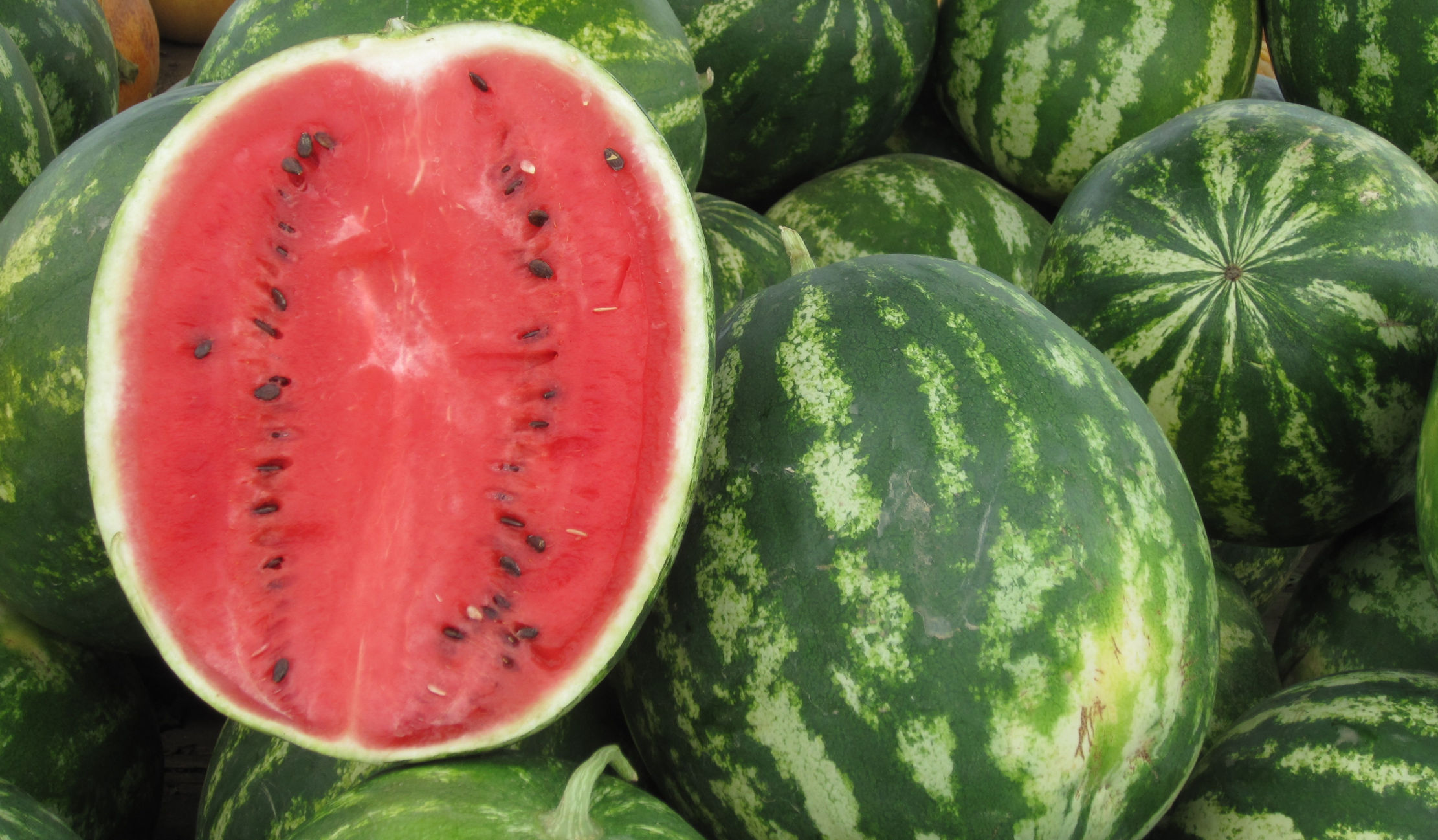 Seed Pack = =Sugar Baby Watermelon 20 Seeds Heirloom All Natural Seed Seed Pack = =Sugar Baby Watermelon 20 Seeds Heirloom All Natural Seed