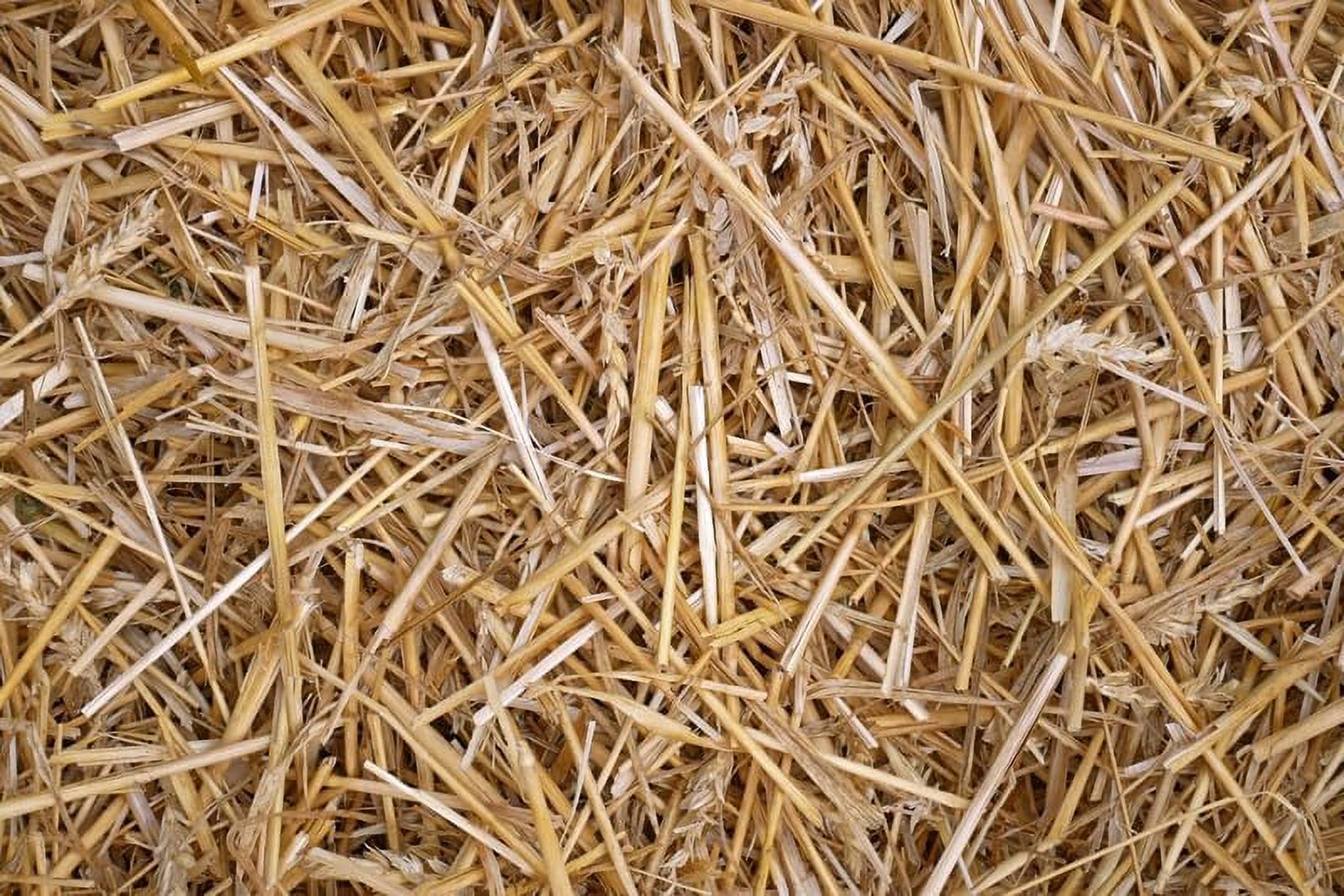 CZ Grain Natural Wheat Straw Fertilizer, 2 lbs