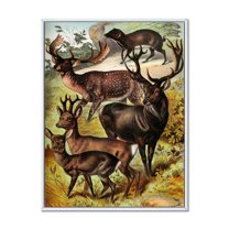 Designart 'Old-world Mammals I' Farmhouse Framed Canvas Wall Art Print