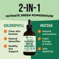 thumbnail image 2 of Gotas líquidas de clorofila Matcha Supplement 360 Nutrition, 2 of 8