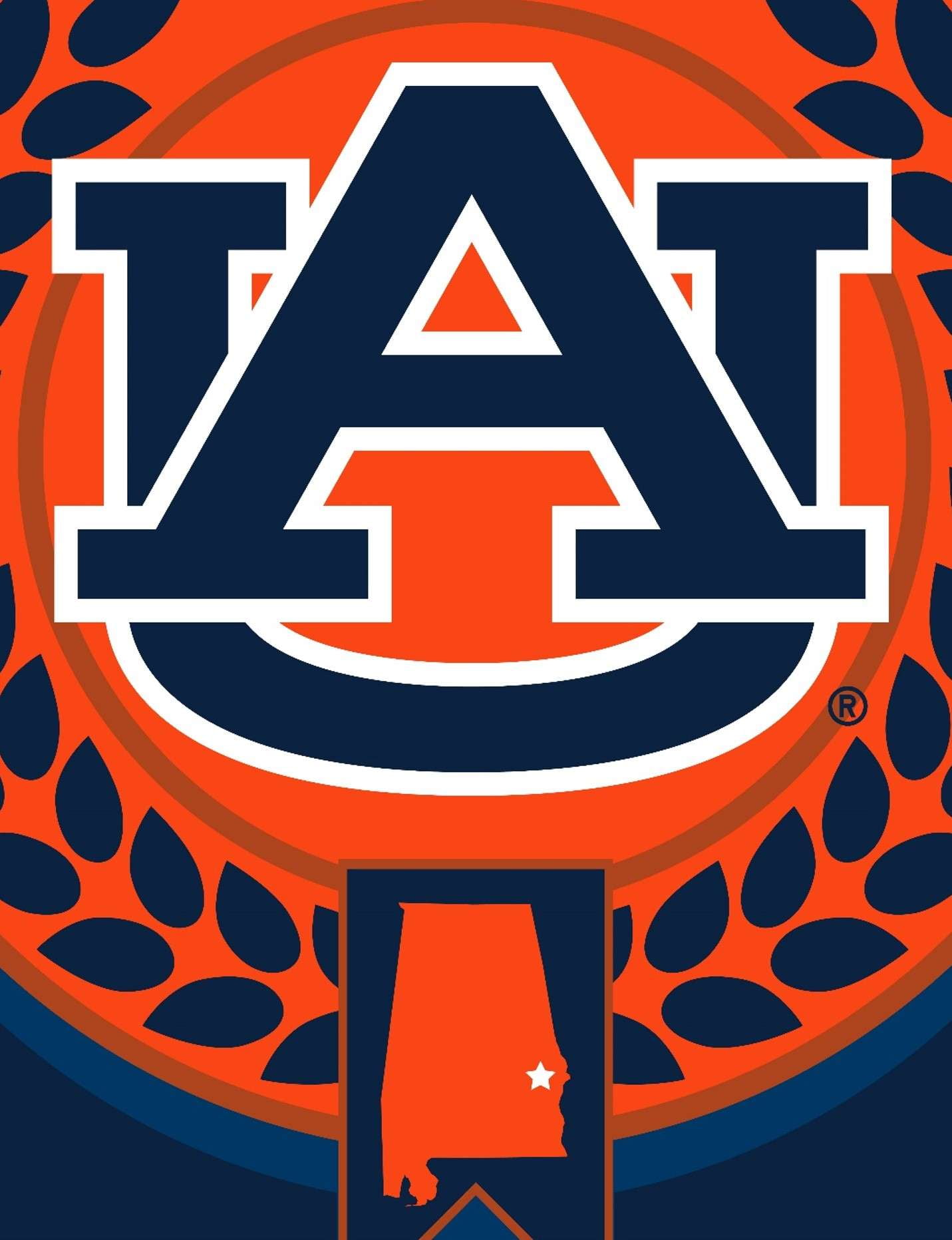 Auburn NCAA Apex Silk Touch Sherpa Throw 50x60 inches