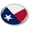 Flexible, variant on BestLicensePlateFrames Texas State Flag 3D Domed Round Automotive Emblem