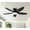 Black, variant on PHORUS 36" Low Profile Ceiling Fan with LED Light, Quiet DC Motor, Remote & App Control, Flush Mount Fan for Bedroom, Small Rooms and Apartments,Black
