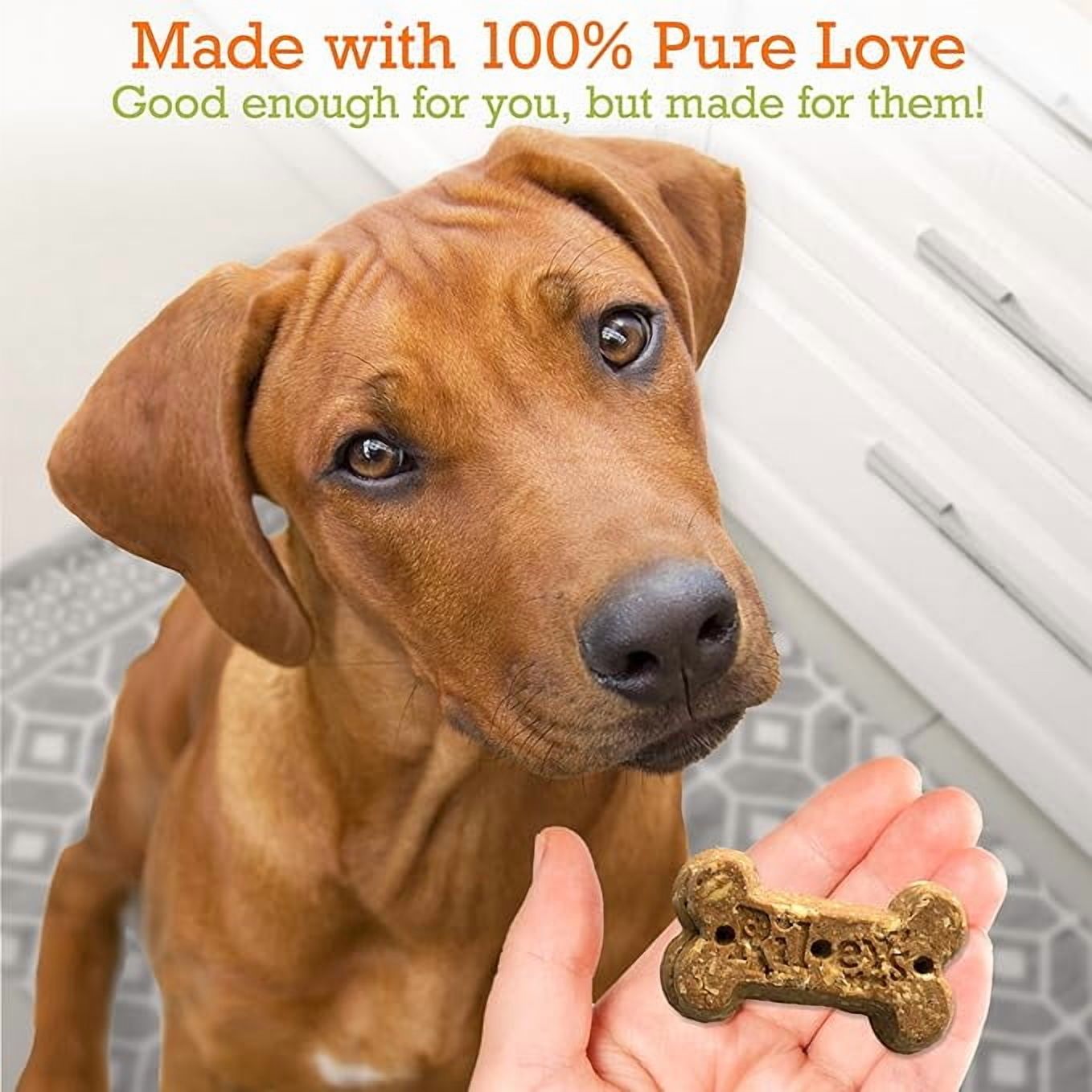 Riley's Pumpkin Dog Treats - Crunchy Dog Treats for Large Dogs - Pumpkin Treats for Dogs with Coconut - (5oz, Large)