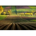thumbnail image 2 of Nienartowicz, Karol 24x18 Gold Ornate Wood Framed with Double Matting Museum Art Print Titled - Shape, 2 of 4