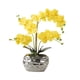 thumbnail image 1 of Planta de orquídea blanca artificial Matsuzay Decoración amarillo, 1 of 6