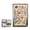 Red, variant on Vintage - Style Versatile Card & Cash Case With RFID Protection, Durable Metal Wallet Blunt Case Blocking Card Holder for Women Men Credit ID Business Cards (Beetle)