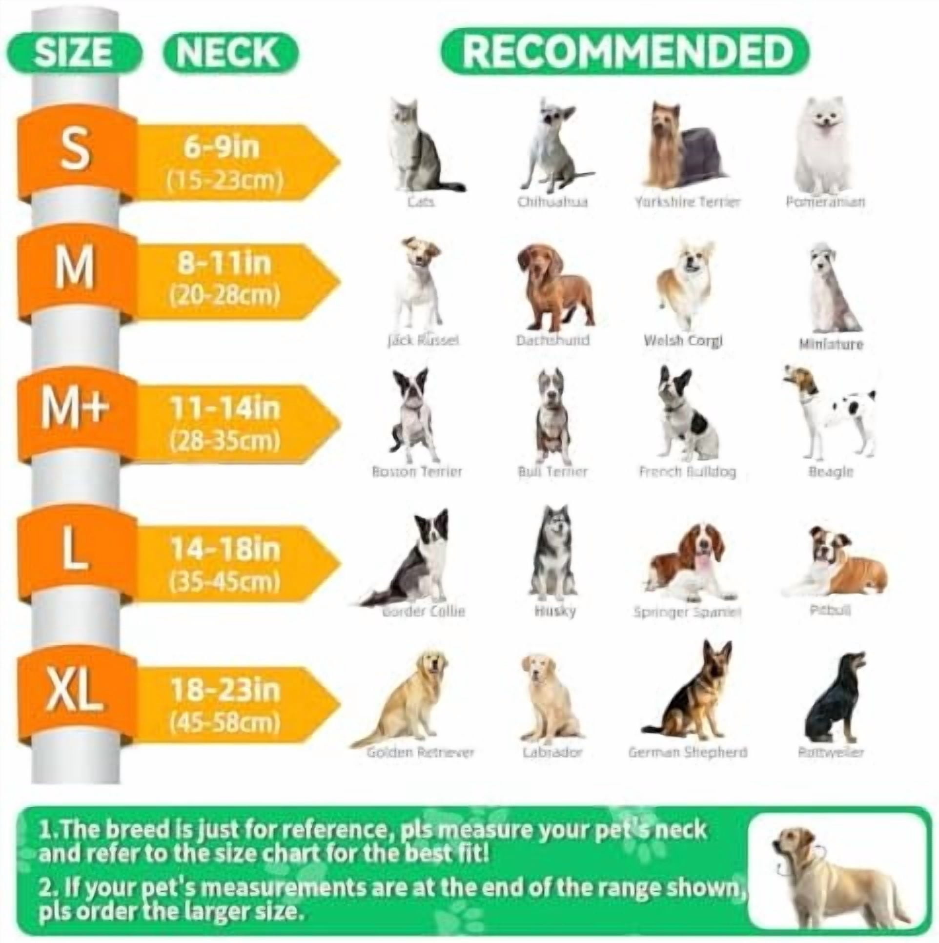 Upgraded Inflatable Dog Cone Collar with Transparent Anti-Licking Shield, Adjustable Elizabethan Collar for Medium Large Dogs, 2-in-1 Design with Detachable Shield and Soft Padding (XL, Lime)
