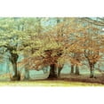 thumbnail image 3 of Lars Van de Goor 14x11 Black Modern Wood Framed Wall Art Titled - Teal Tree, 3 of 5