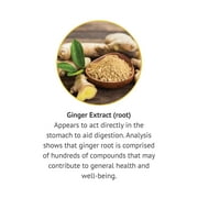 Botanic Choice Ginger Root Extract Liquid, Herbal Health Supplements- 1 Fl Oz