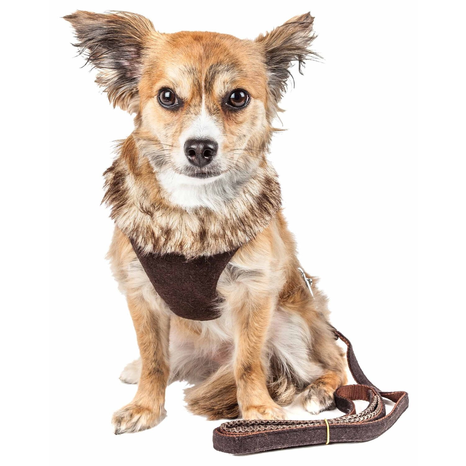 Pet Life ® Luxe 'Furracious' 2-In-1 Adjustable Dog Harness and Leash with Detachable Fur Collar