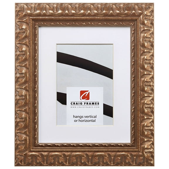 Craig Frames Bravado Ornate, 22x28 inch Antique Bronze Picture Frame Matted for an 18x24 Photo