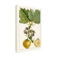 thumbnail image 2 of Turpin 'Turpin Exotic Botanical IV' Canvas Art, 2 of 3