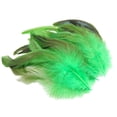 thumbnail image 4 of HOMYL 50 Pieces Feathers for Crafts Chicken Feather for Party Wedding Arrangements Green, 4 of 8