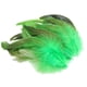 thumbnail image 4 of 50 Uds. de plumas para manualidades DIY, accesorios de artesanía, decoraciones de plumas de pollo ligeras y suaves portátiles para fabricación de Verde BLESIY Plumas para manualidades, 4 of 8